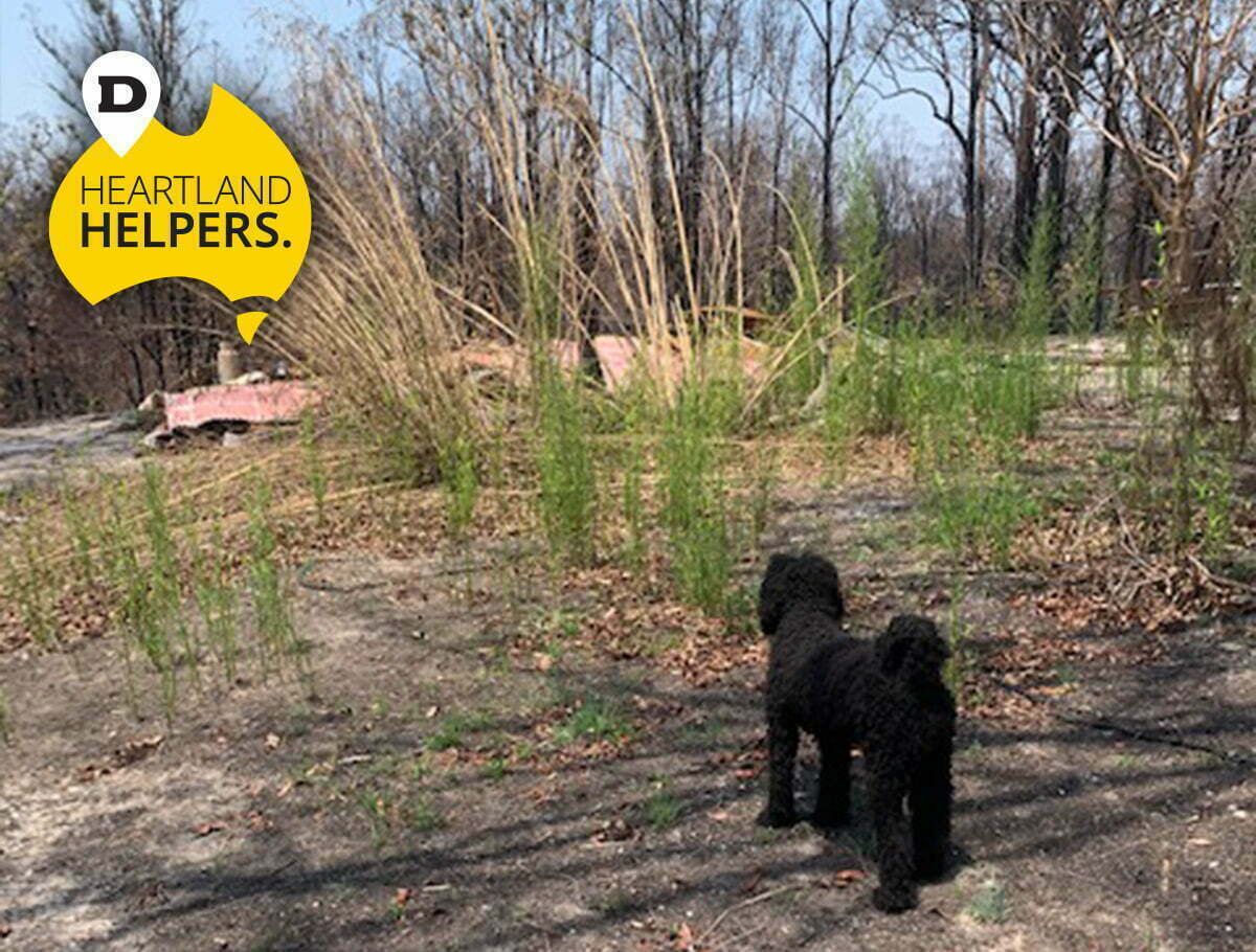 在失去一切之后，现在要进行重建